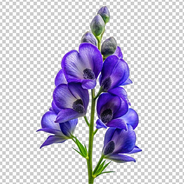 PSD lavender bouquet png