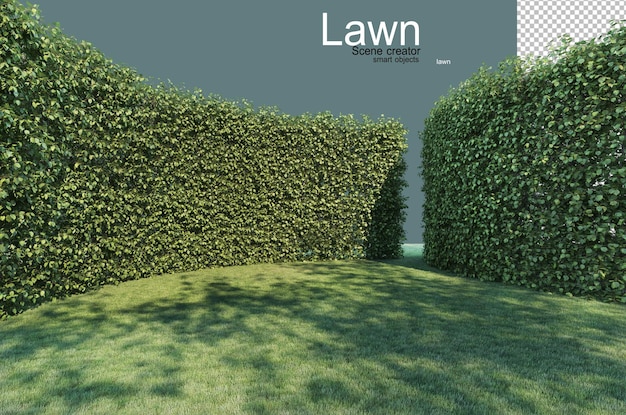 Lawns and tree walls in many forms.