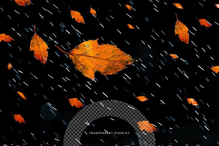 PSD leaf falling special effect overlay effect on transparent background