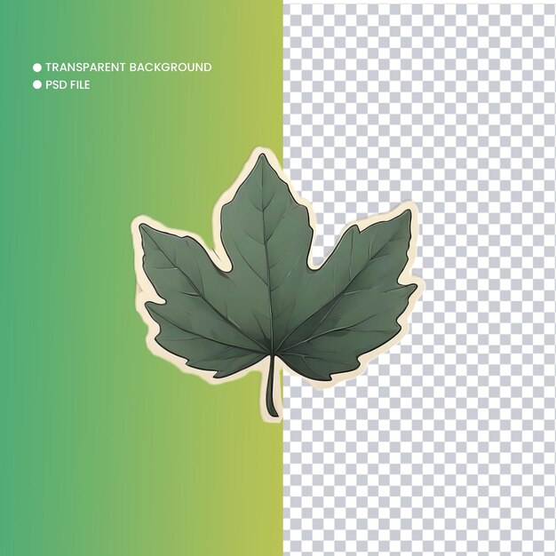 Leaf illustration with transparent background