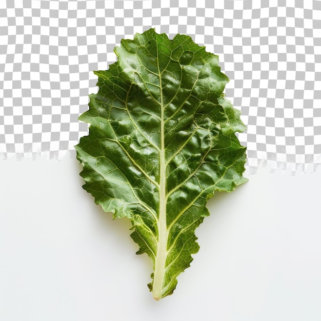 PSD a leaf that is green and has the word parsley on it