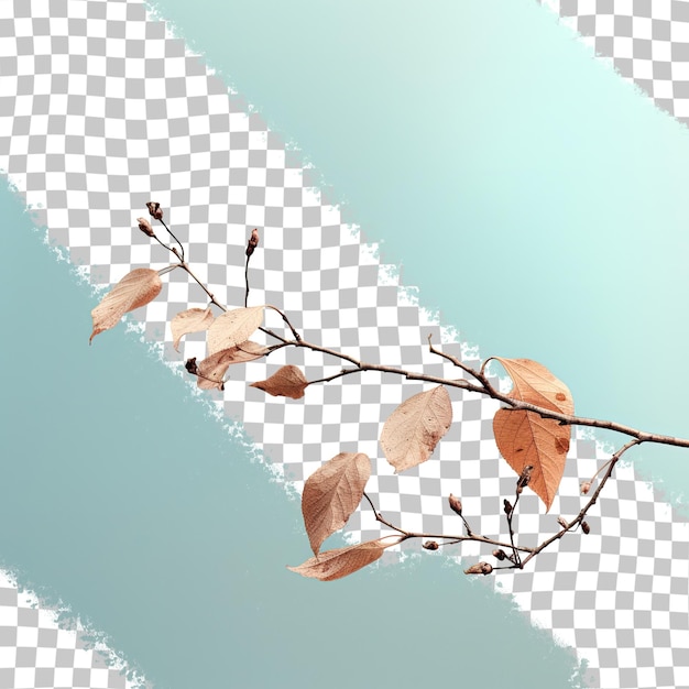 PSD leaf and twig attached to the tree