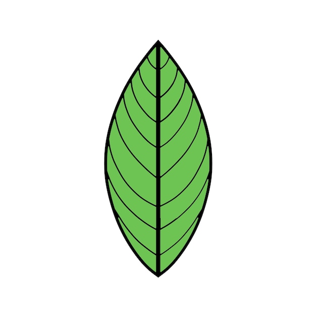 PSD leaf with outline