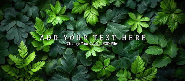 PSD leafy green fern background