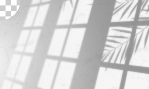 Leaves and window pane shadow overlay effect