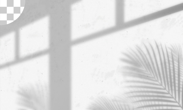 Leaves and window pane shadow overlay effect