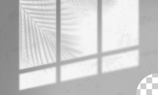 Leaves and window pane shadow overlay effect