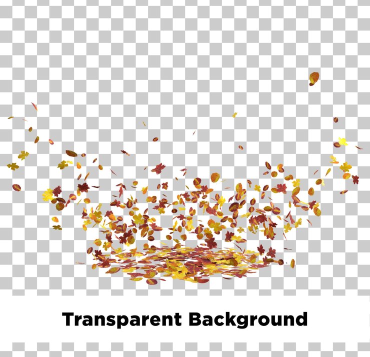 PSD leaves autumn 3 isolated on transparent background