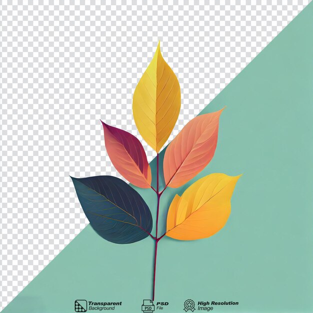 PSD leaves color change isolated on transparent background