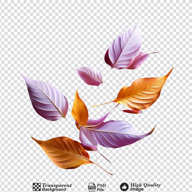 Leaves fluttering in the wind isolated on transparent background
