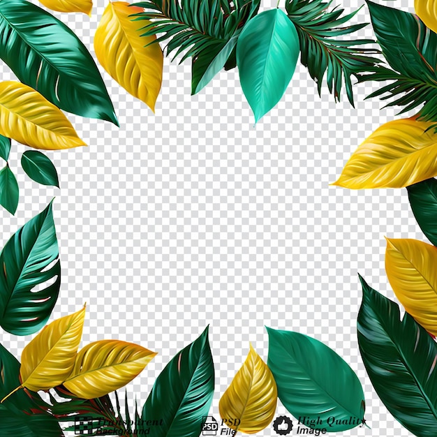 PSD leaves frame with copy space isolated on transparent background