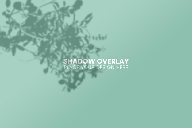 PSD leaves  shadows overlay effect transparent concept