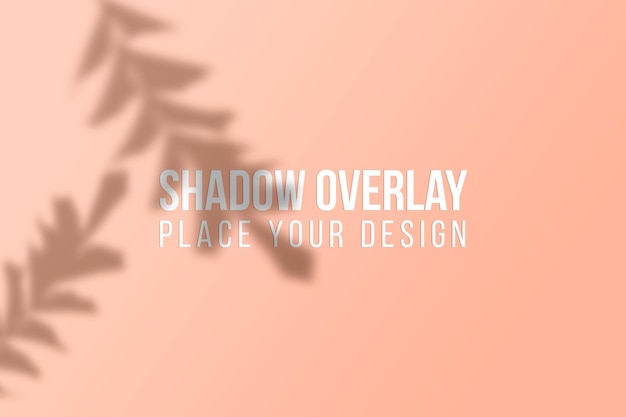 Foglie ombre overlay e finestra ombre overlay effect concetto trasparente