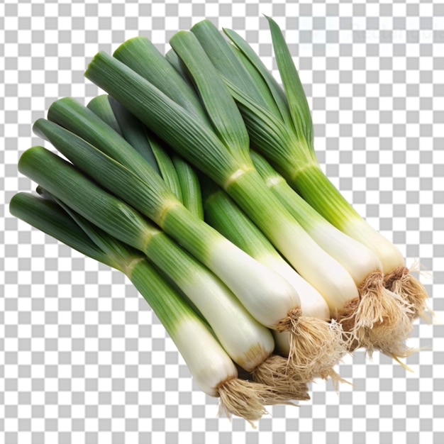 PSD leeks on transparent background