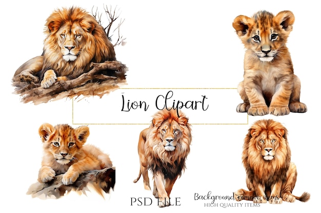 PSD leeuw clipart grafische illustraties