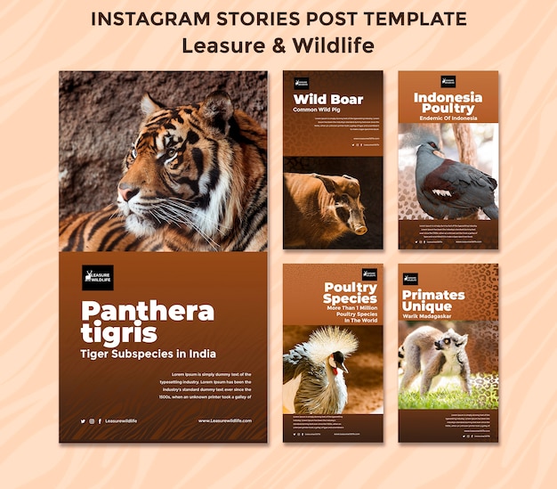 PSD storie di instagram per il tempo libero e la fauna selvatica