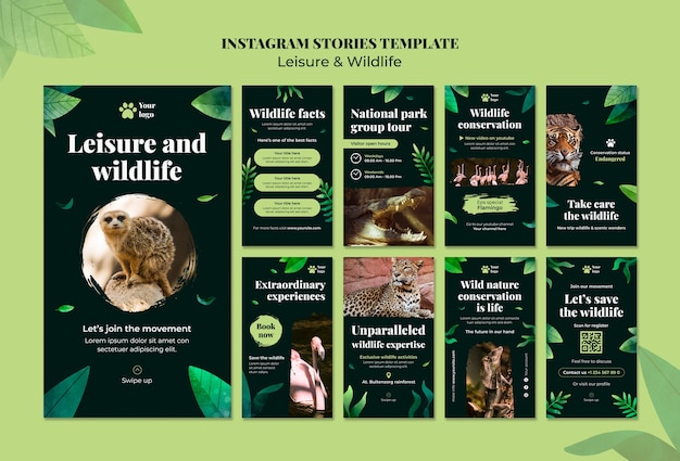 PSD leisure and wildlife template design