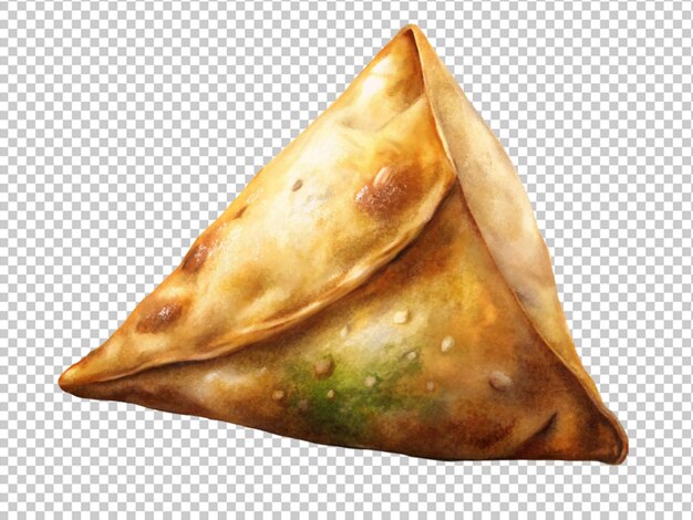 Lekker keema samosa