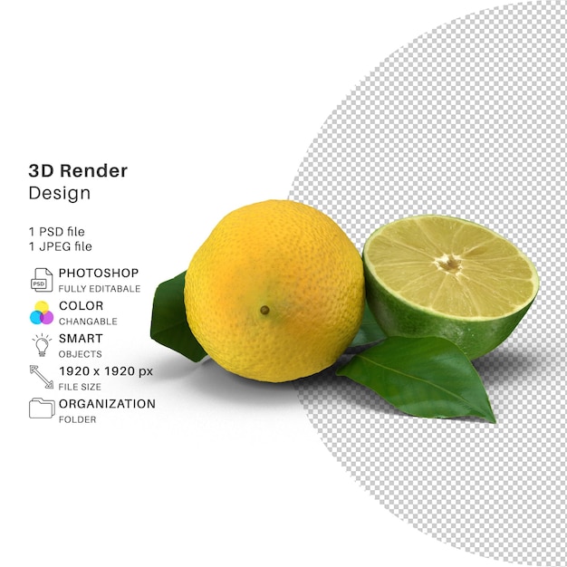 Lemon and Lime 3D Modeling PSD-fil Realistisk sitron