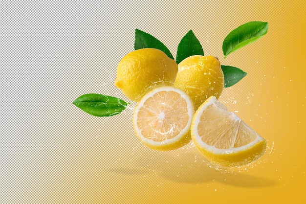 Lemon fruit isolated on alpha background