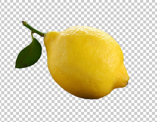 Lemon fruit