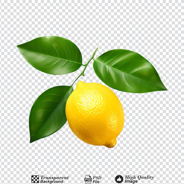 Lemon and a leaf isolated on transparent background