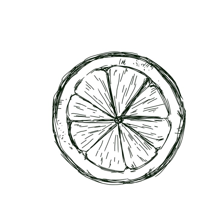 PSD lemon top view in sectie grafische zwart-wit illustratie sketch voor afdrukken en webontwerp