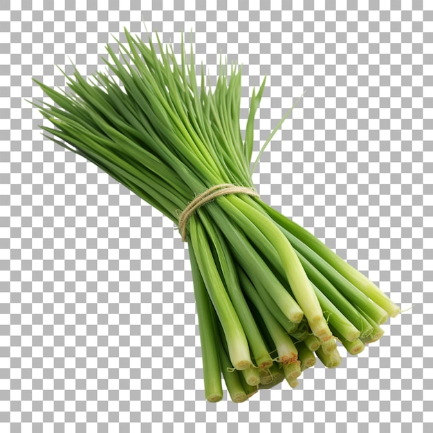 Lemongrass on transparent background