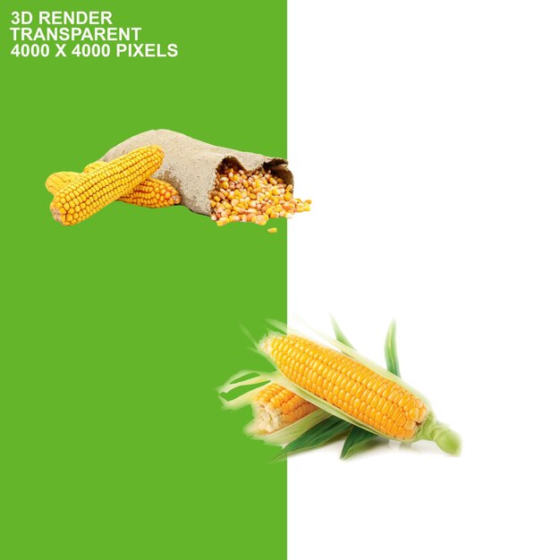 lentils transparent background