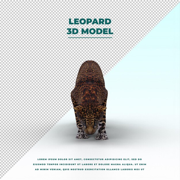 PSD leopard isolated