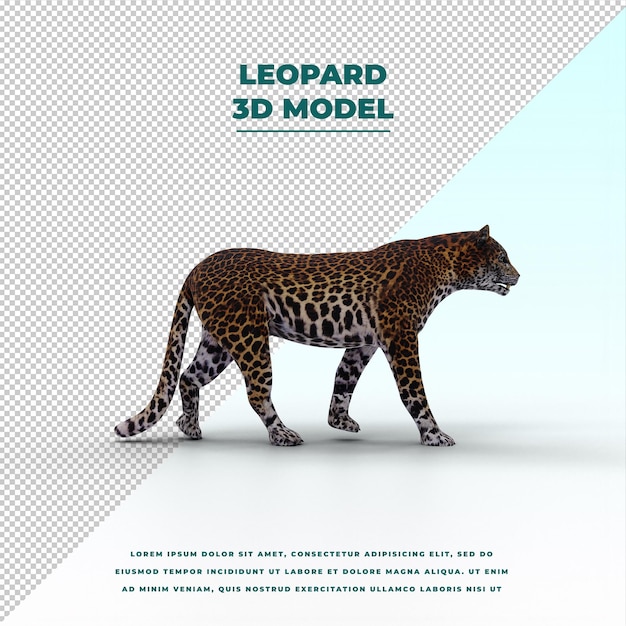 PSD leopard isolated