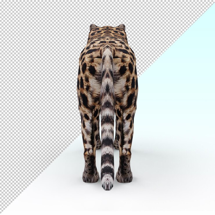 PSD leopard