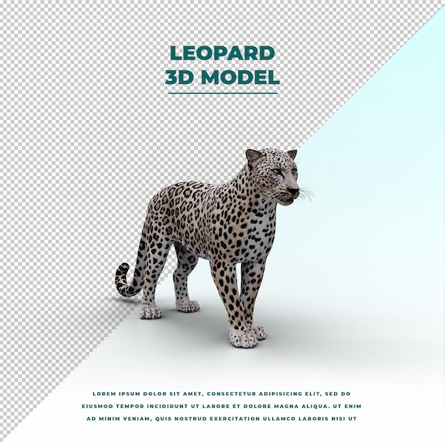 PSD leopard