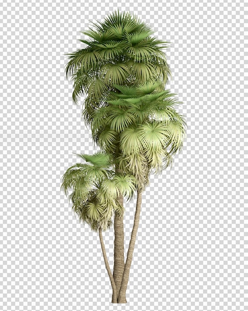 Letnia palma w renderowaniu 3d