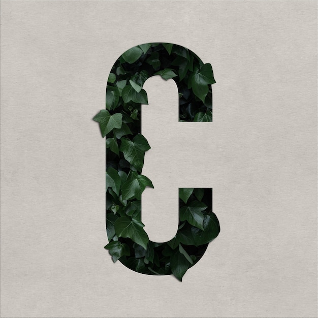 PSD letter c alphabet concept with hedera