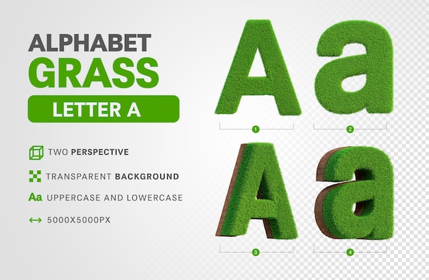 Letter A in grass alphabet in 3d render realistic