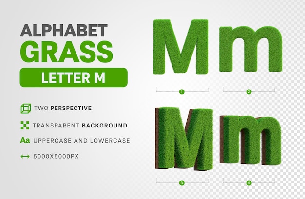 Буква м в травяном алфавите в 3d-рендеринге реалистична