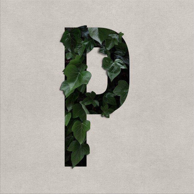 Letter p alfabet concept met hedera