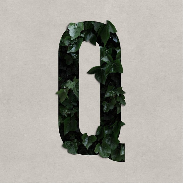 Letter q alphabet concept with hedera