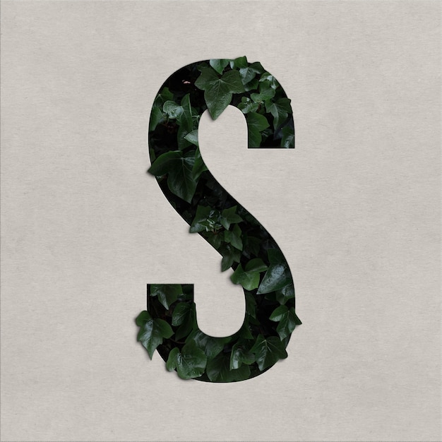 Letter s alphabet concept with hedera