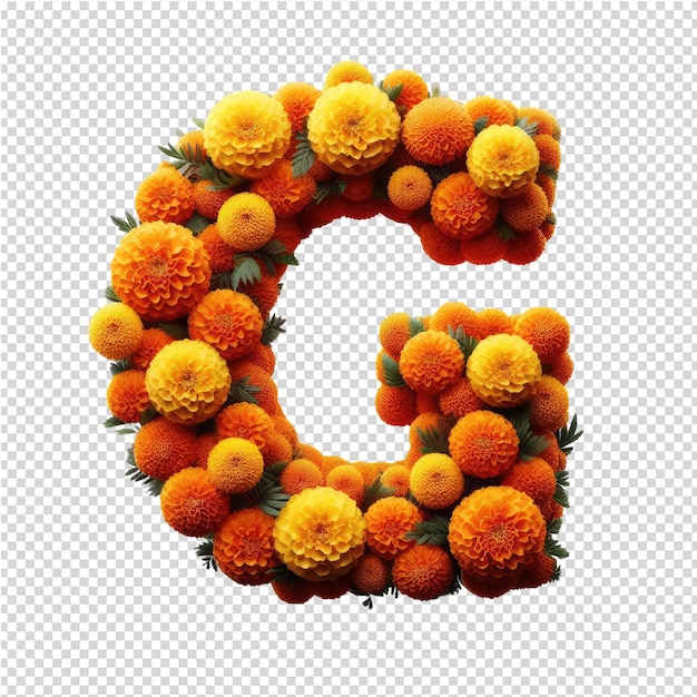 PSD a letter s made of orange flowers with the letter c on it