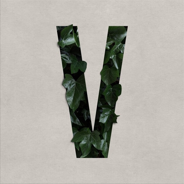 Letter v alphabet concept with hedera