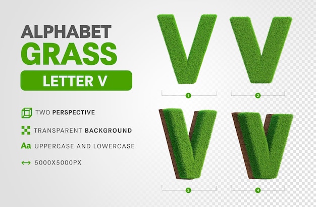 Letter V in grass alphabet in 3d render realistic