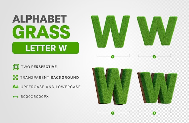 Letter w in grasalfabet in 3d maakt realistisch