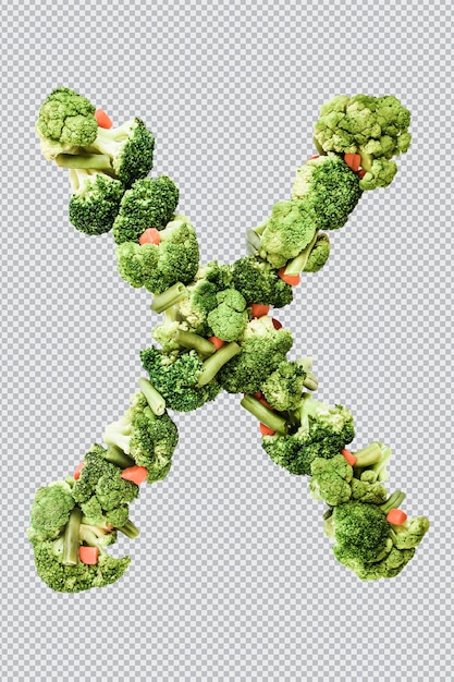 Letter x. healthy lifestyle and nutrition. english alphabet. text from the products. broccoli, asparagus, carrots. designer font. vegetable font. psd