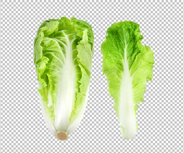 PSD lettuce isolated on alpha layer