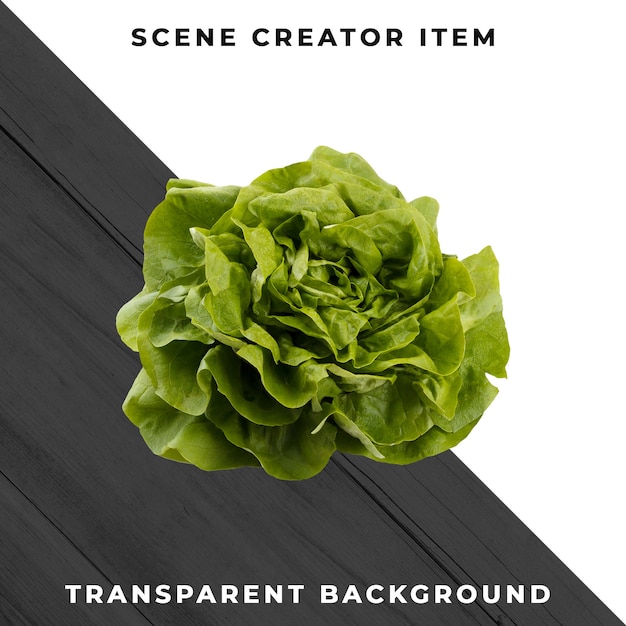 PSD lettuce isolated with clipping path.