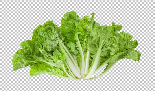 PSD lettuce leaves isolated on alpha layer