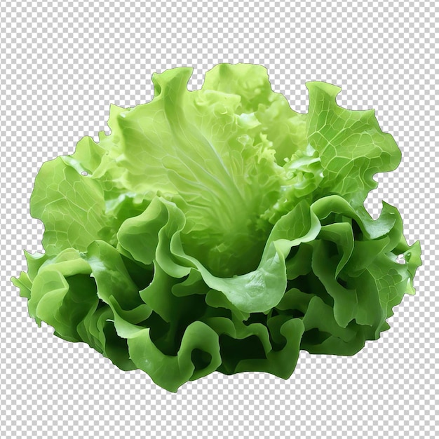 PSD lettuce medley a visual feast