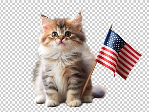 PSD leuk kitten viert onafhankelijkheidsdag 4 juli met de amerikaanse vlag.